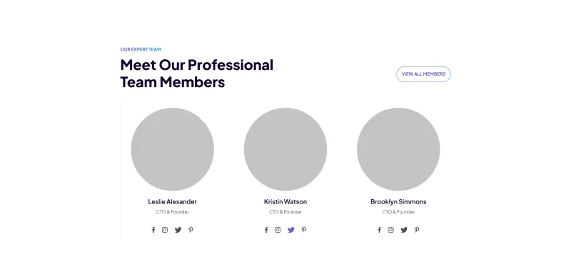 Team Section - Introduce Your Experts